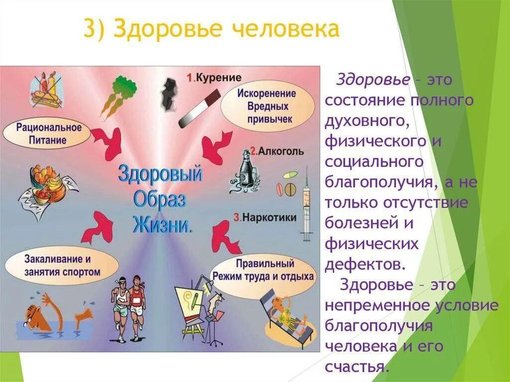 Образ жизни виды. Здоровье человека. Основы здорового образа жизни человека. Основы здорового образа жизни ОБЖ. Физическое духовное и социальное здоровье человека.