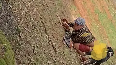 Vídeo de homem transando com cachorro - Porno Gay Em Video De Zoofilia ...