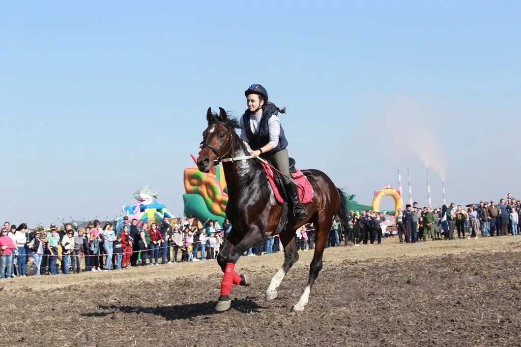 Погода в кривянской на 14. Станица Кривянская праздник Покров. Праздник Покрова скачки станицы Кривянской. Ст-ца Кривянская. Станица Кривянская Ростовская область.