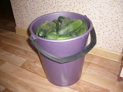 Засолить огурцы в ведре пластмассовом