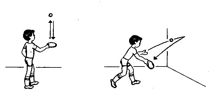 Полоть 2 лицо. Упражнения по набиванию мяча в настольном теннисе. Схема игры в настольный теннис. Упражнения для настольного тенниса. Упражнения с ракеткой для настольного тенниса.