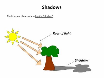 Where the light