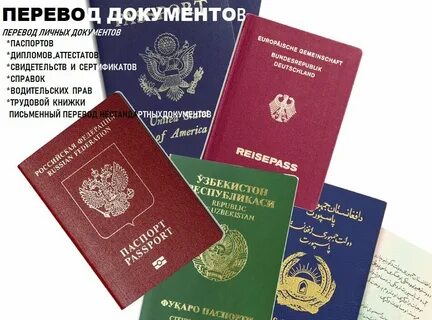 Получение документов лица без гражданства