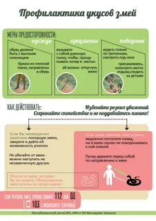 Рекомендовано при укусах