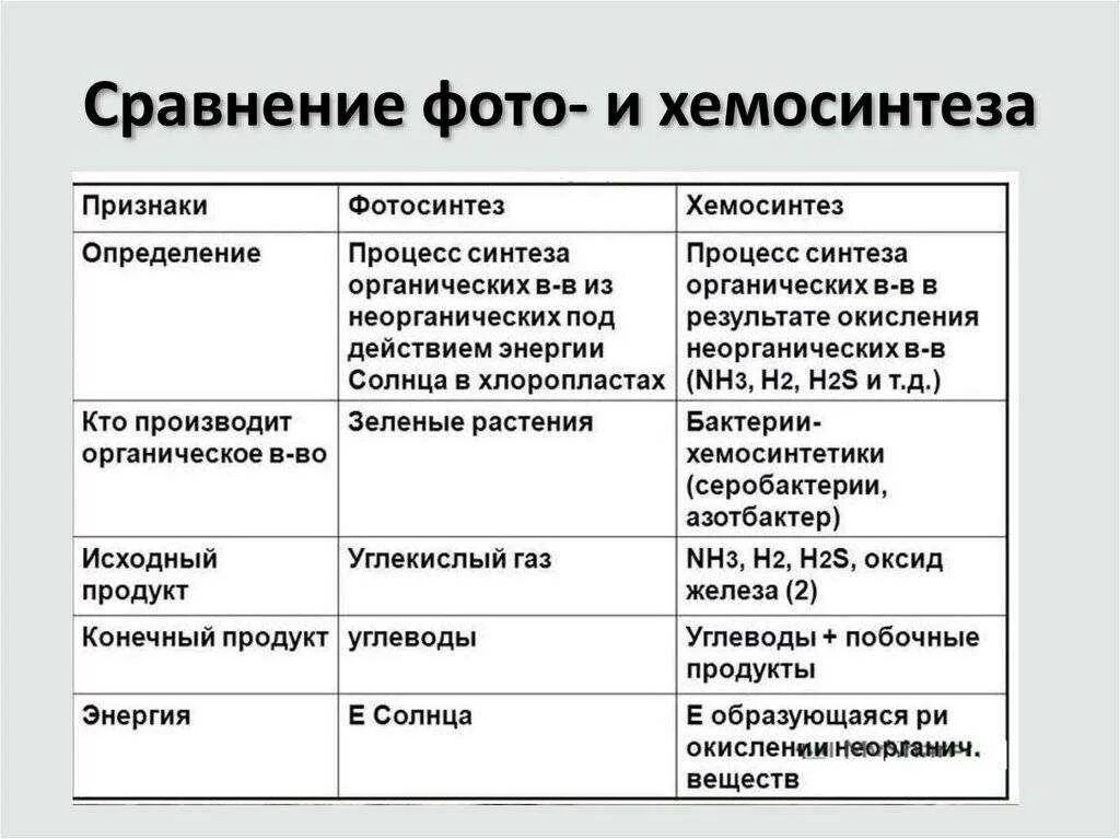 Типы клеточного питания 10 класс. Сходства и различия фотосинтеза и хемосинтеза. сравните процессы фотосинтеза и хемосинтеза. сравнение фотосинтеза и хемосинтеза таблица 10 класс. хемосинтез таблица 10 класс.