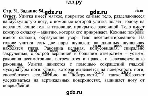 3 класс страница 54 упражнение 2