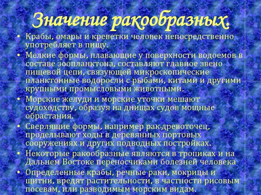 Урок моллюски