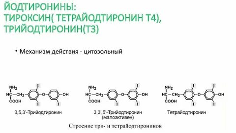 Синтез т