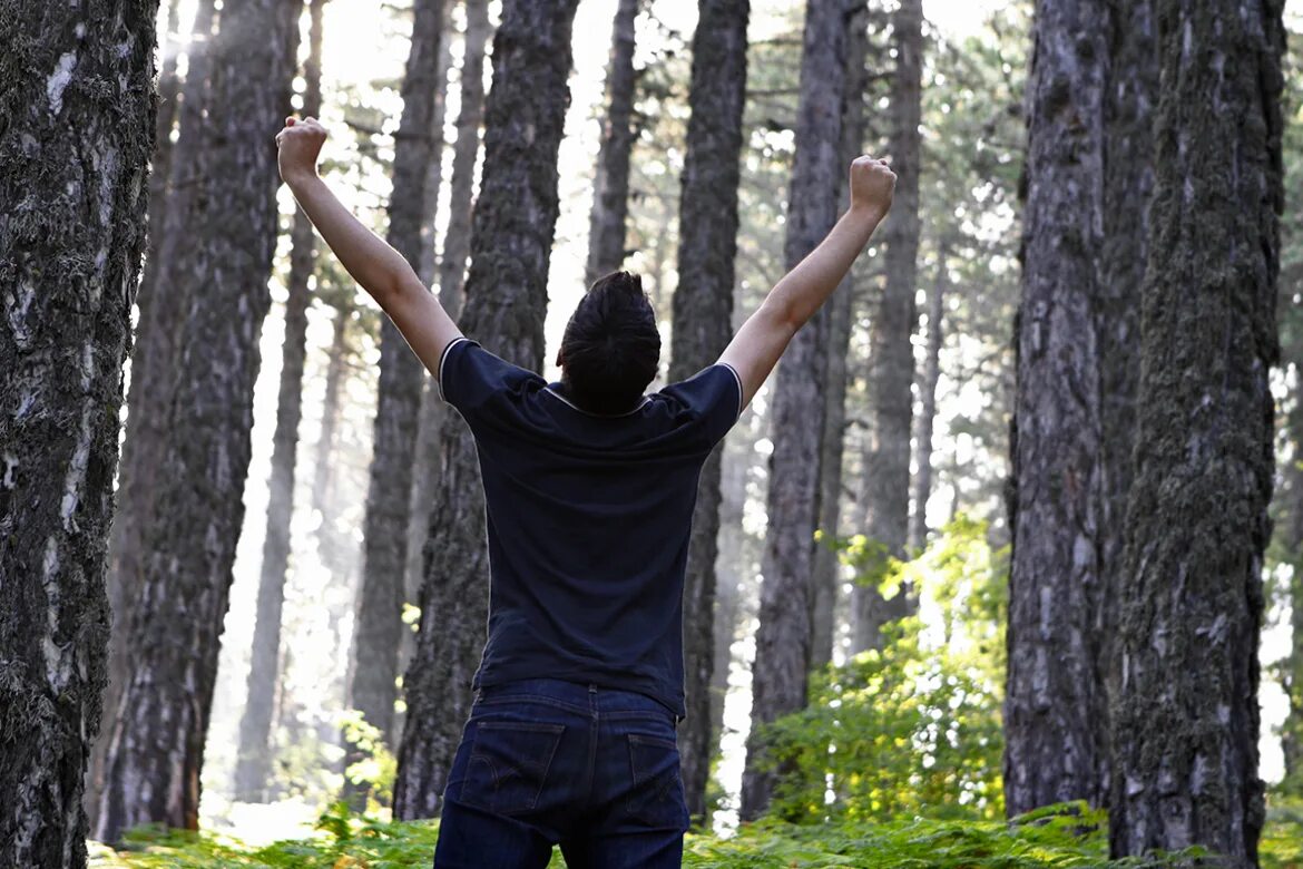 Мужчина в лесу со спины. Мужчина в лесу с поднятыми руками. Человек поднимает дерево. Человек поднимает ветку. Человек поднимает за 16