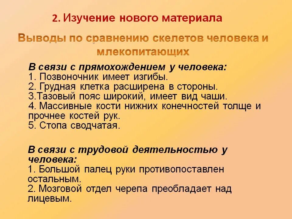 Отличия скелета человека от млекопитающего. Отличие скелета человека от скелета млекопитающих. Сравнение человека и млекопитающих. Отличие скелета человека от млекопитающих животных. Различия скелетов человека и животных таблица.