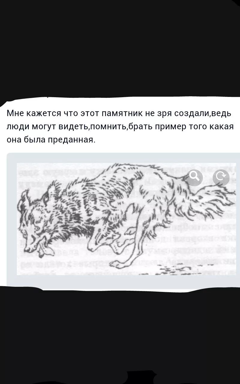 эскиз памятника кусаке. обоснование необходимости создания памятника кусаке приложив письменное. памятник копилка бездомной собаке екатеринбург. памятник собаке барри. памятник бездомной собаке в тюмени.