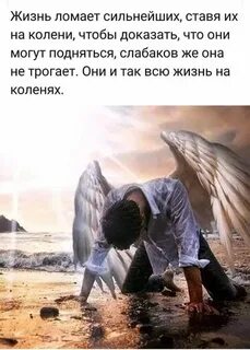 Жизнь сильна