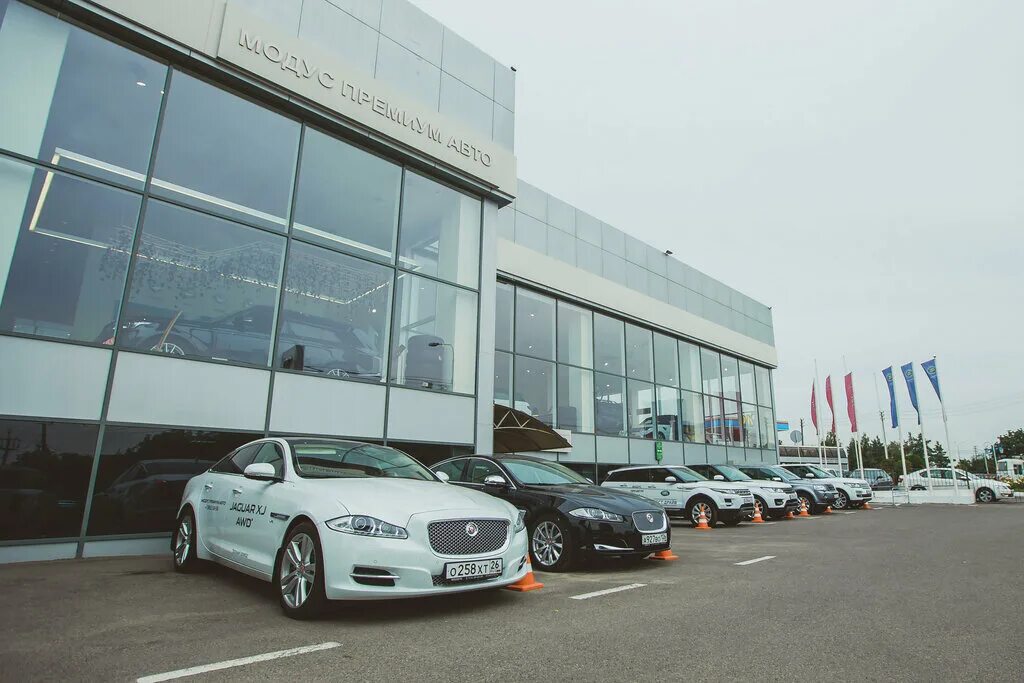 Фреш авто ставрополь. Fresh auto краснодар. Fresh auto тюмень. Фреш авто ставрополь. Автосалон фреш.
