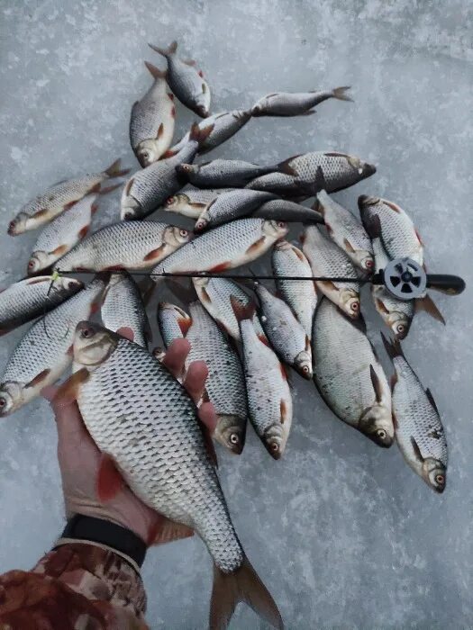 Рыбалка в белоярском водохранилище свердловской. Белоярское водохранилище рыбалка. Белоярское водохранилище. Белоярское водохранилище свердловская область. Рыбалка в белоярском водохранилище свердловской.