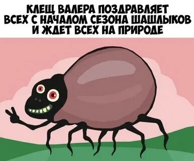 Клещ валера