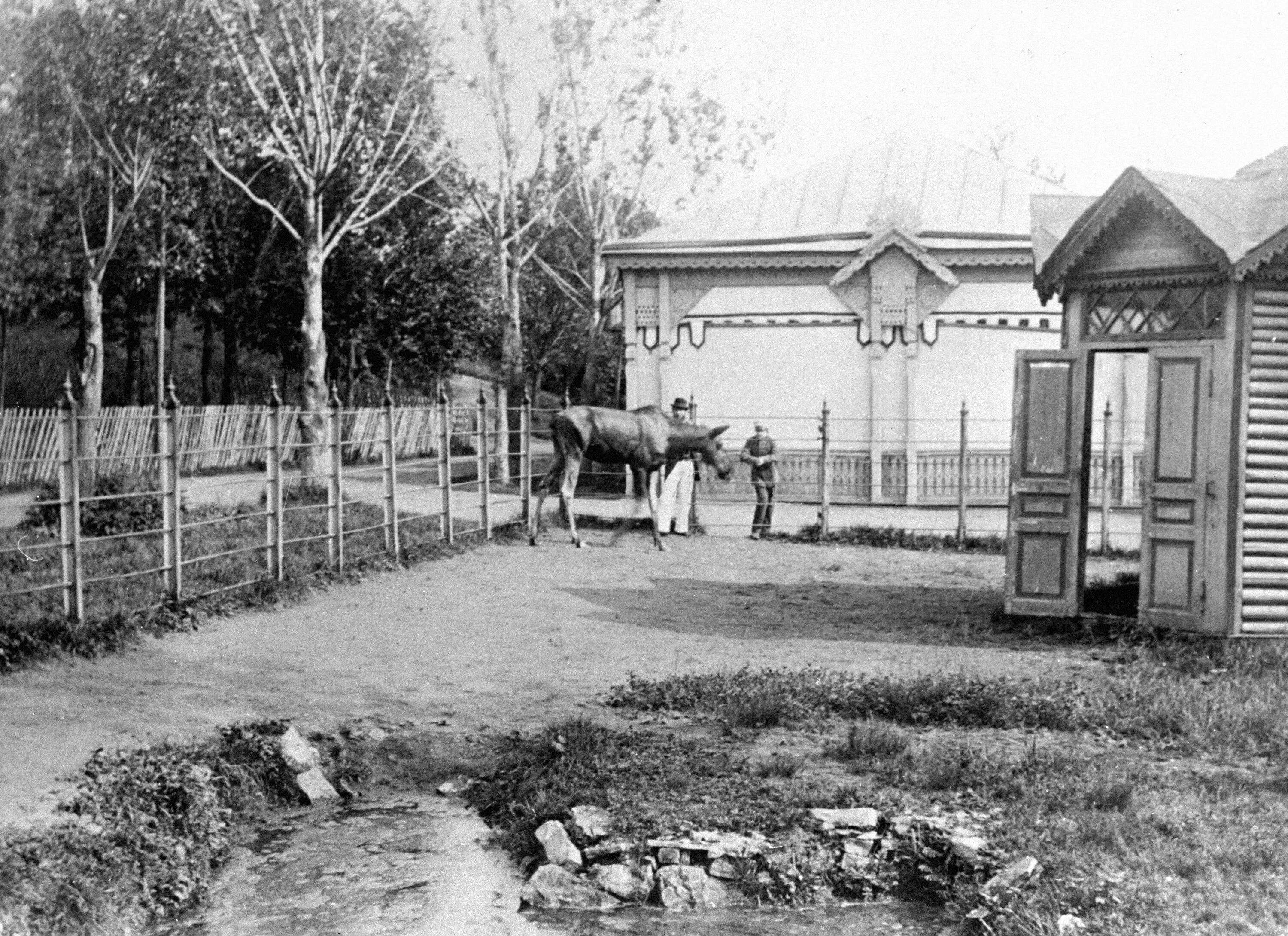 Московский зоопарк 1864. Московский Зоологический сад 1864. Московский зоосад 1864 год. Московский зоопарк 19 век. Кто организовал московский зоосад в 19 веке