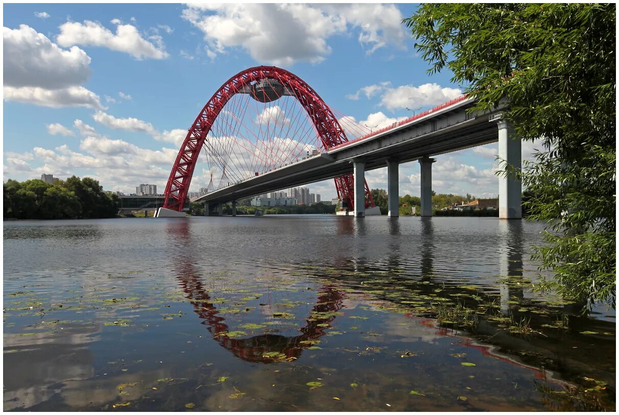 Парк серебряный бор москва зимой. Москва серебряный. Серебряный бор лесопарк. Серебряный бор 2022. Прогулка на сапах москва серебряный бор.