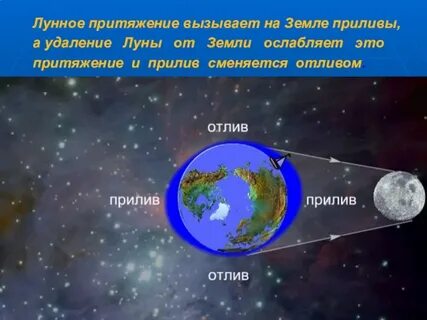 Приливы на земле вызывает в основном лунное