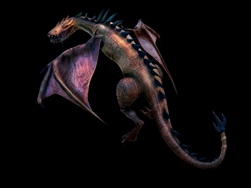 Виверна ведьмак 1. Виверна ведьмак 3. Королевская виверна ведьмак 3. Вилохвост ведьмак 3. Виверна ведьмак 3.