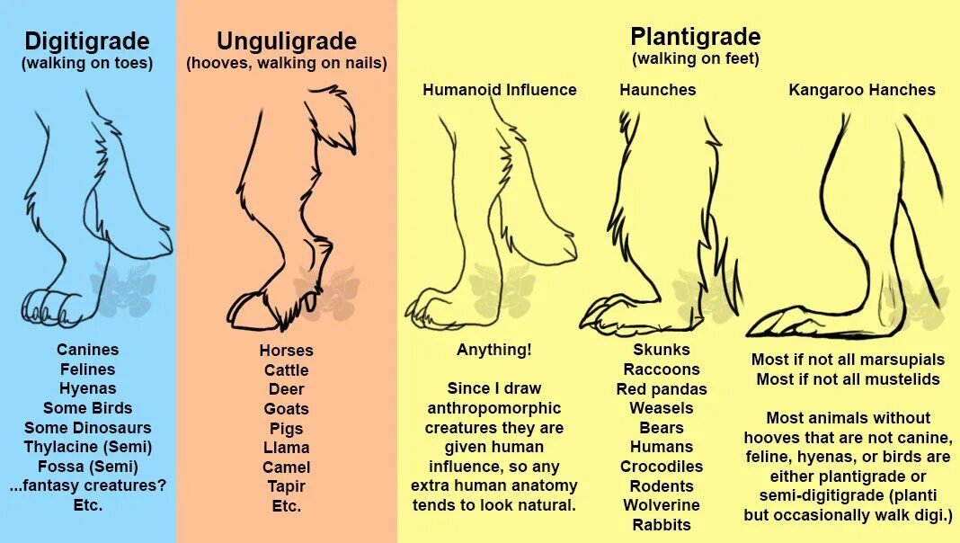 Когда листинг собак. Когда листинг собак. Породы собак названия. Пудель силуэт вектор. Щенок силуэт вектор.