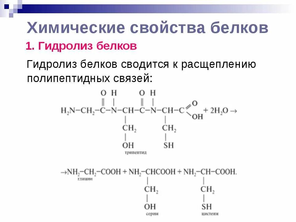 Общие свойства белка. Химические свойства белков. Химические свойства белка. Гидролиз белков аминокислоты. Белки химические свойства.