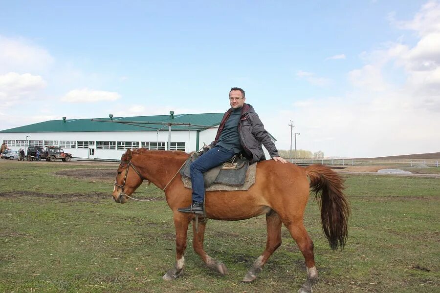 Купить коня алтайском. Алтайская лошадь рост. Алтайцы на лошадях. Мотивы Алтайского коня. Лошадь в Павловском районе Алтайского края.