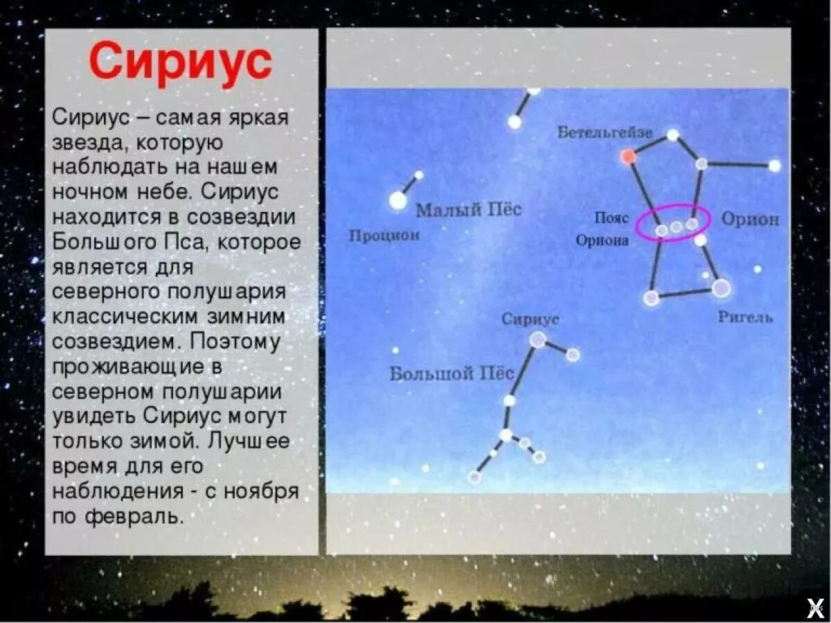 Звезда Сириус и Орион. Какому созвездию принадлежит звезда Сириус. Созвездие Орион и Сириус. Созвездие Орион атлас определитель. Земля и небо сколько страниц