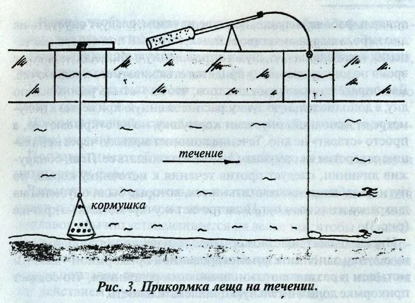 "Выбор снасти для ловли леща зимой