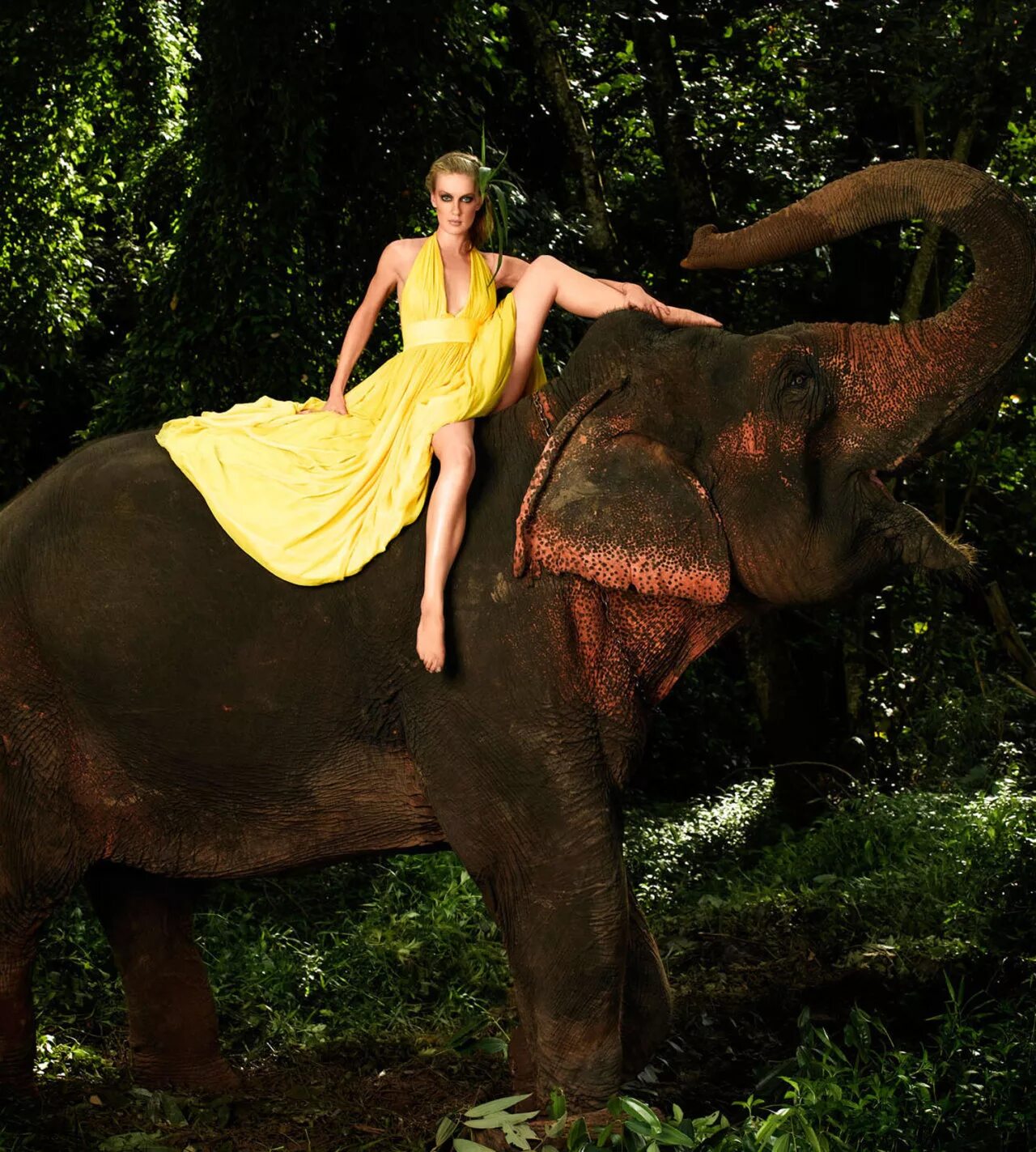 Джоани Доддс. Топ модель по американски слон. Девушка верхом на слоне. Топ модель по американски 6