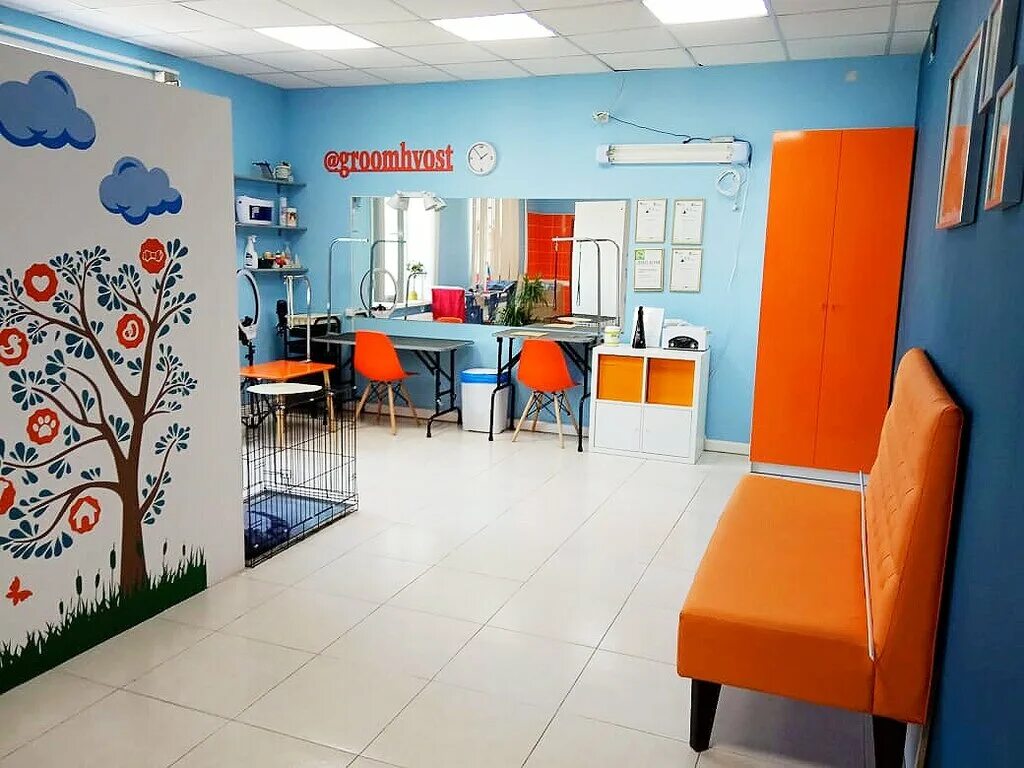 Зоосалон старая купавна. Зоосалон старая купавна. Груминг ул мира 44а. Грумер профессия. The grooming factory.