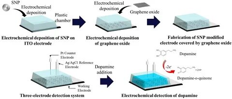 Electrochemical society