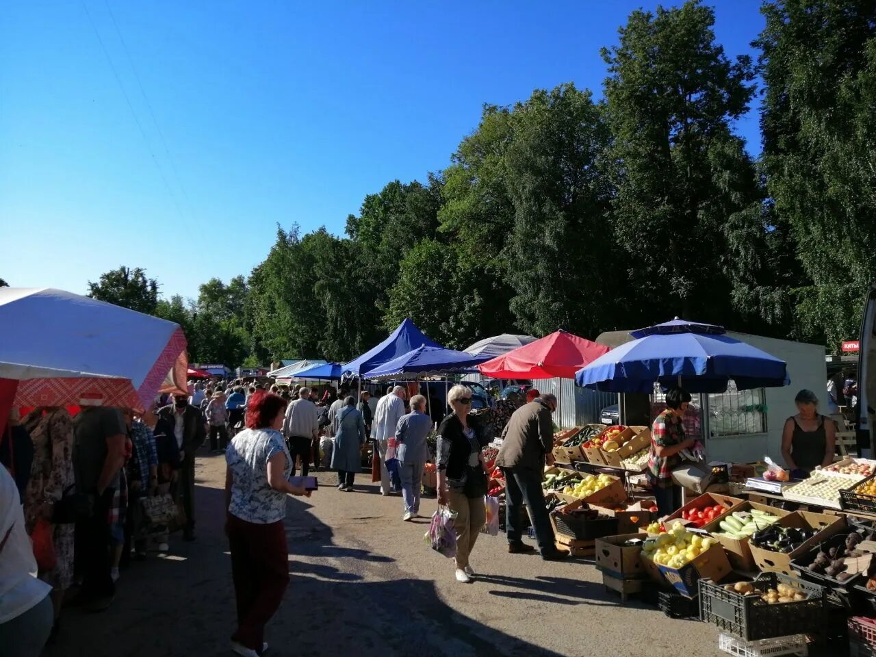Современный продуктовый рынок. Фермерский рынок зеленоград. Южный рынок спб. Рынок в 16 микрорайоне зеленограда. Новый рынок курск.
