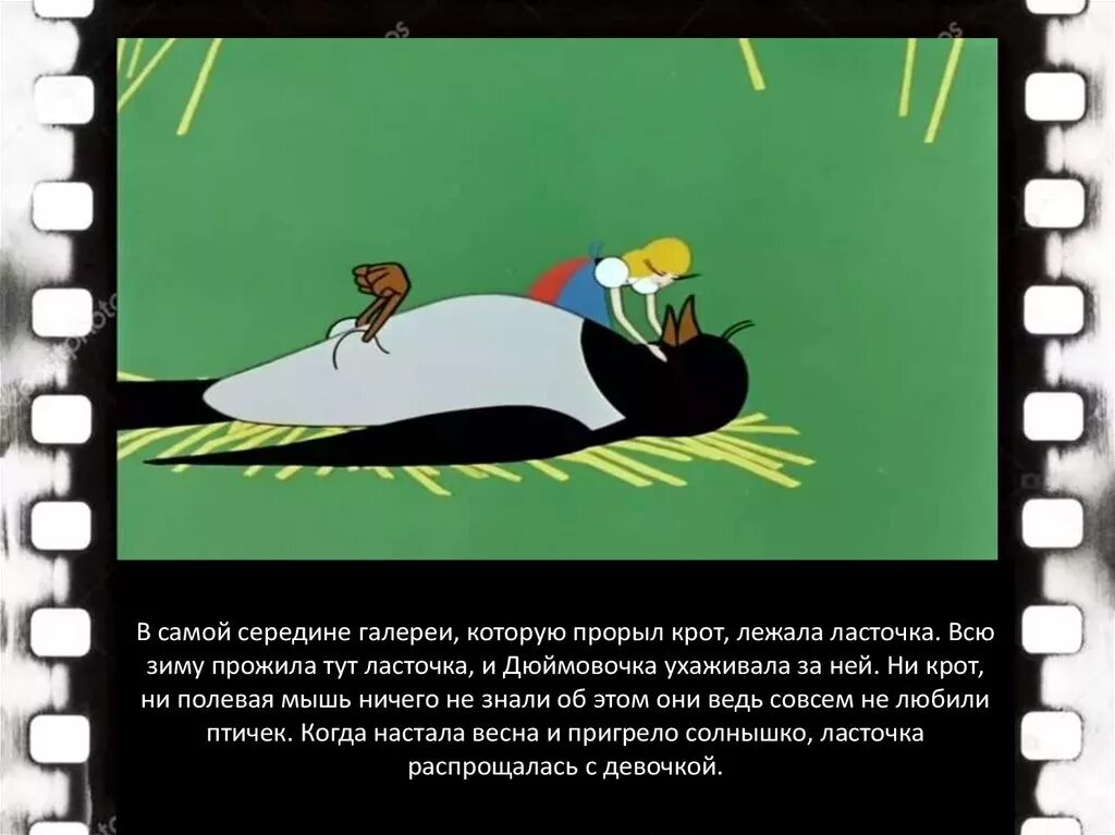 Всю зиму прожила тут ласточка