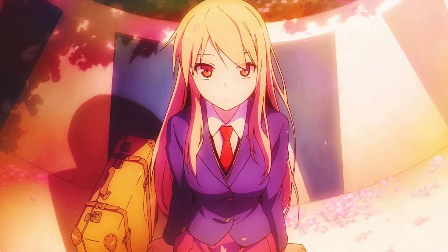 Sakurasou no pet na. Сакурасо Масиро Сиина. Кошечка из Сакурасо Маширо. Кошечка из Сакурасо Сиина Масиро.