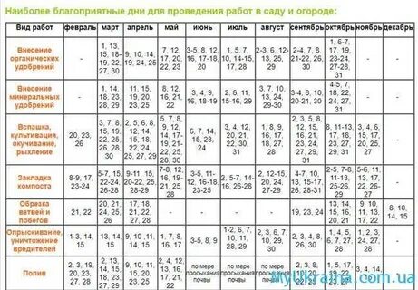 Посадочный календарь 2024 таблица