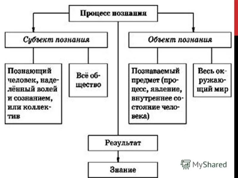 Познание как вид деятельности 6 класс