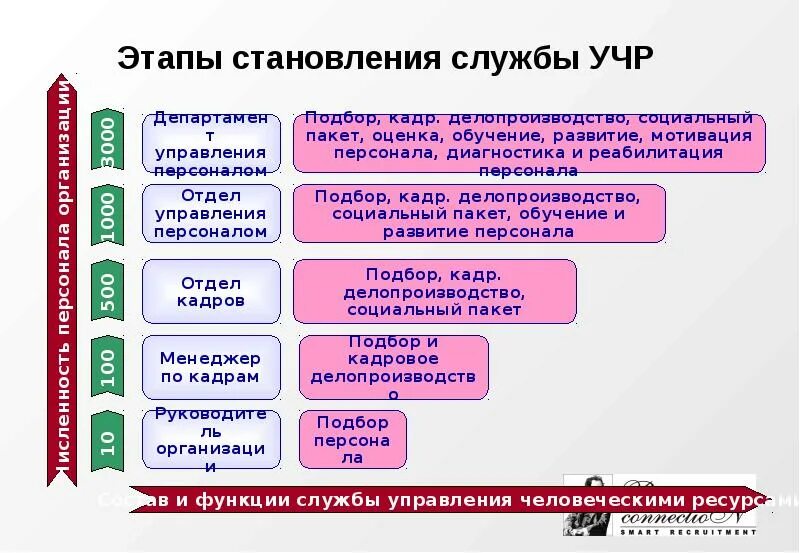 Ресурсная служба. Этапы формирования службы управления персоналом. Этапы управления человеческими ресурсами. Служба управления человеческими ресурсами. Функции службы управления человеческими ресурсами.