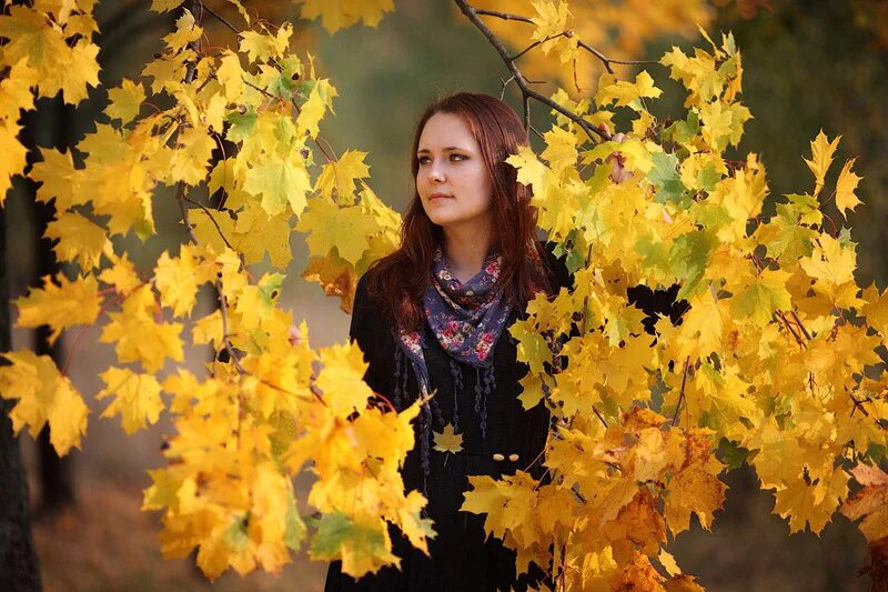 Картинки девушек с листьями. Ева листопад. фотосессия с кленовыми листьями. фотосессия в кленовых листьях осенью. девушка с кленовым листом.