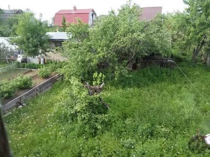 Снт вороново москва