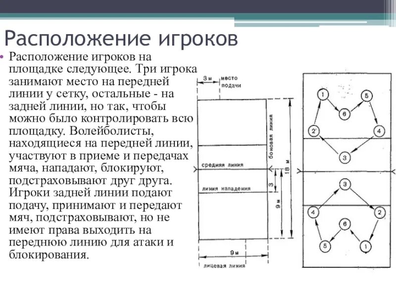 Номера позиций игроков в волейболе. Расположение игроков на волейбольной площадке схема. Площадка для пионербола схема с размерами. Расстановка связующего в волейболе игрока. Расстановка в волейболе и амплуа игроков.