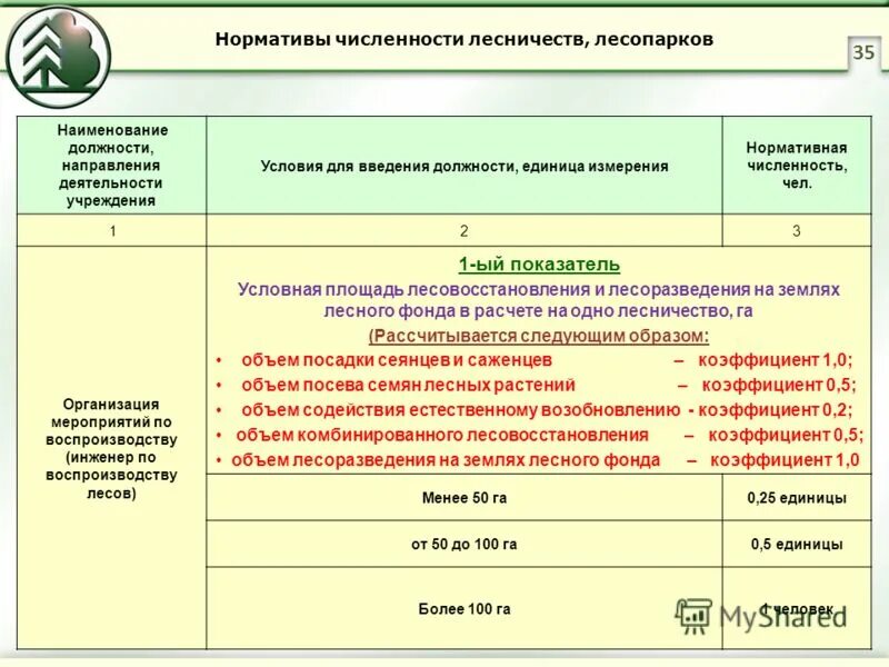 Норматив численность работников организации. Нормативная численность. Норматив численности работников. Должности в области лесного хозяйства. Должности в лесничестве.