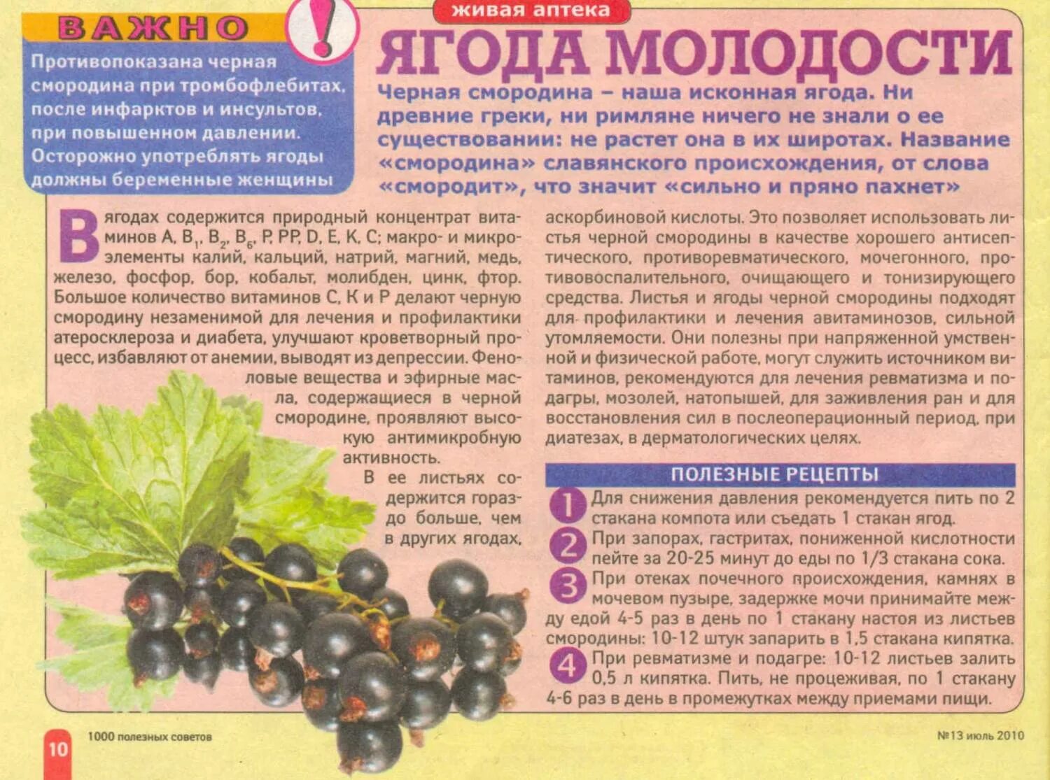 загадка про смородину. смородина при сахарном диабете. косточки в смородине. чёрная смородина диабет 2. смородина чёрная.