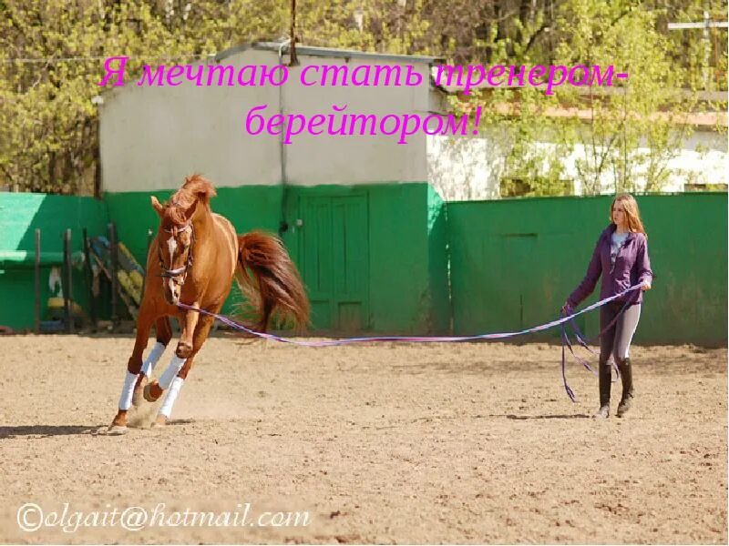 Тренированная именитым берейтором лошадь. Тренер берейтор. Лошадь на корде. Лошадь гоняют на корде. Работа на корде с лошадью.