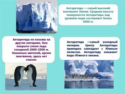 Антарктида сообщение 4 класс