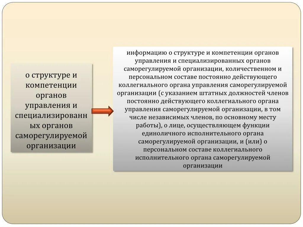 Компетенция исполнительного органа управления