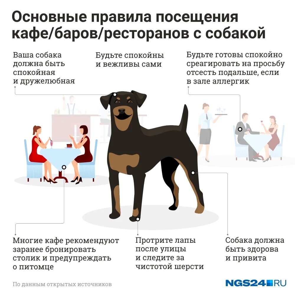 Можно ли в тц с собакой. Можно ли ходить с собакой в магазин. в какой стране больше всего собачников. правила собачника. компании лояльные к собакам.