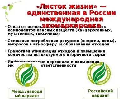 Листок жизни