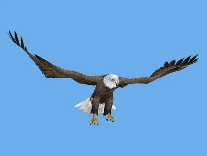 Flying 3d