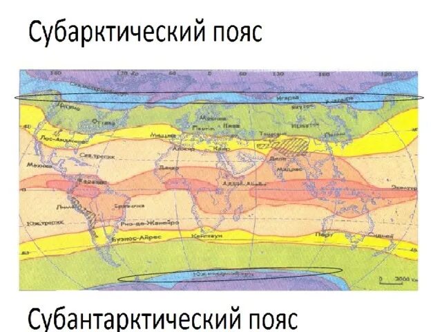 Климат субарктических и субантарктических поясов. Субарктический климатический пояс. Субарктический климатический пояс ката. Субантарктический климатический пояс на карте.