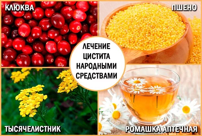 Быстро и эффективно вылечить цистит. Цистит народные средства. народные средства от цистита. цистит у женщин народные средства. народные средства от цистита в домашних.
